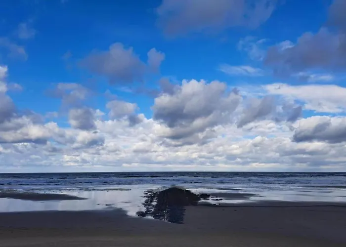 Studio Hazenborgh In Callantsoog Near The Beach